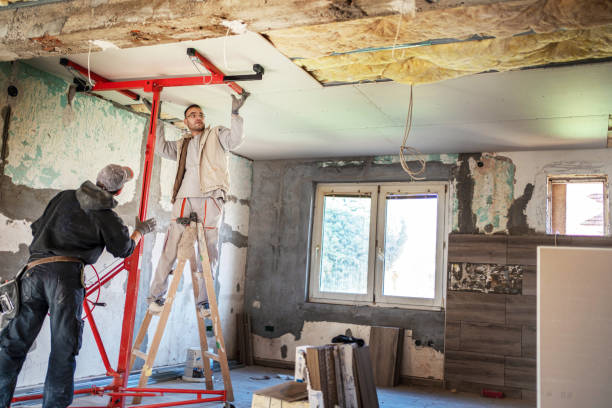 Best Local Insulation Services  in Dickson, OK